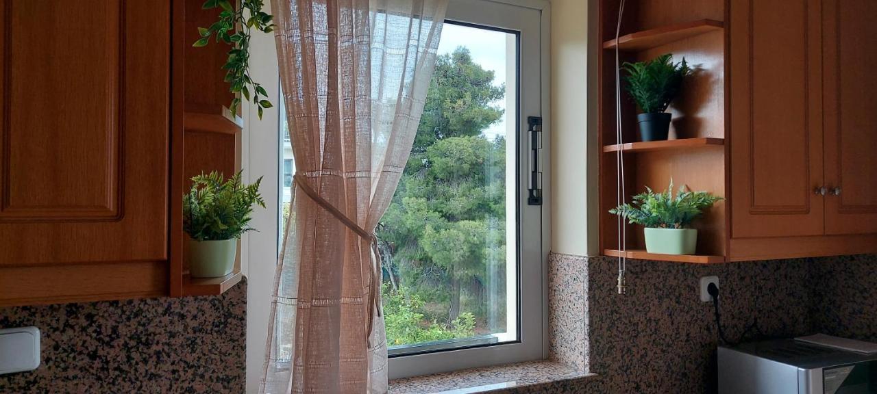 Denis House Apartment *